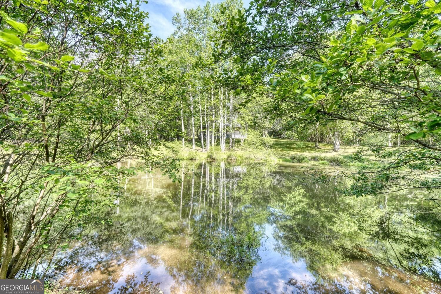 1493 Greasy Creek Road Brasstown - Photo 38
