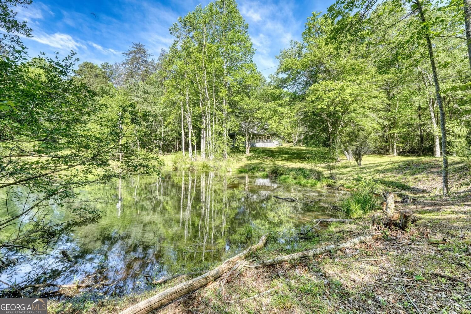 1493 Greasy Creek Road Brasstown - Photo 39