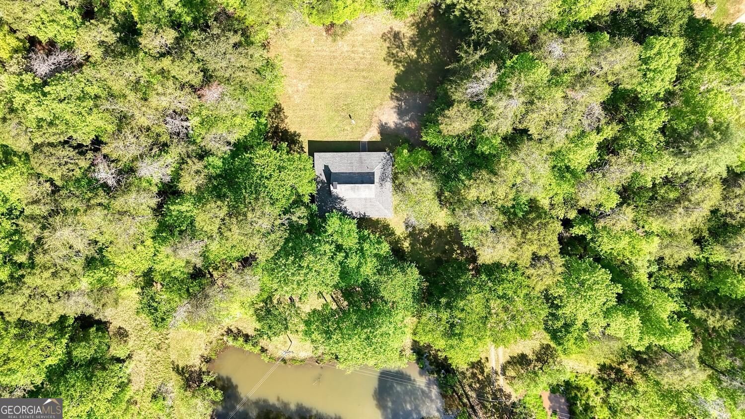 1493 Greasy Creek Road Brasstown - Photo 47