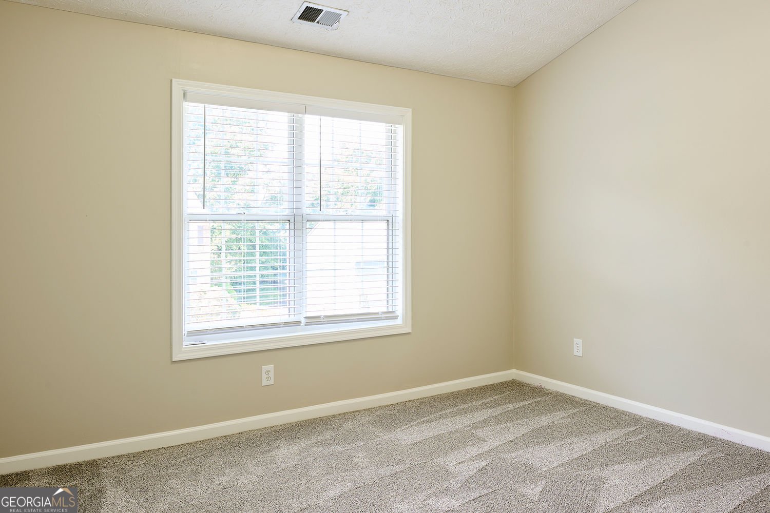 311 Park Creek Ridge Woodstock - Photo 13