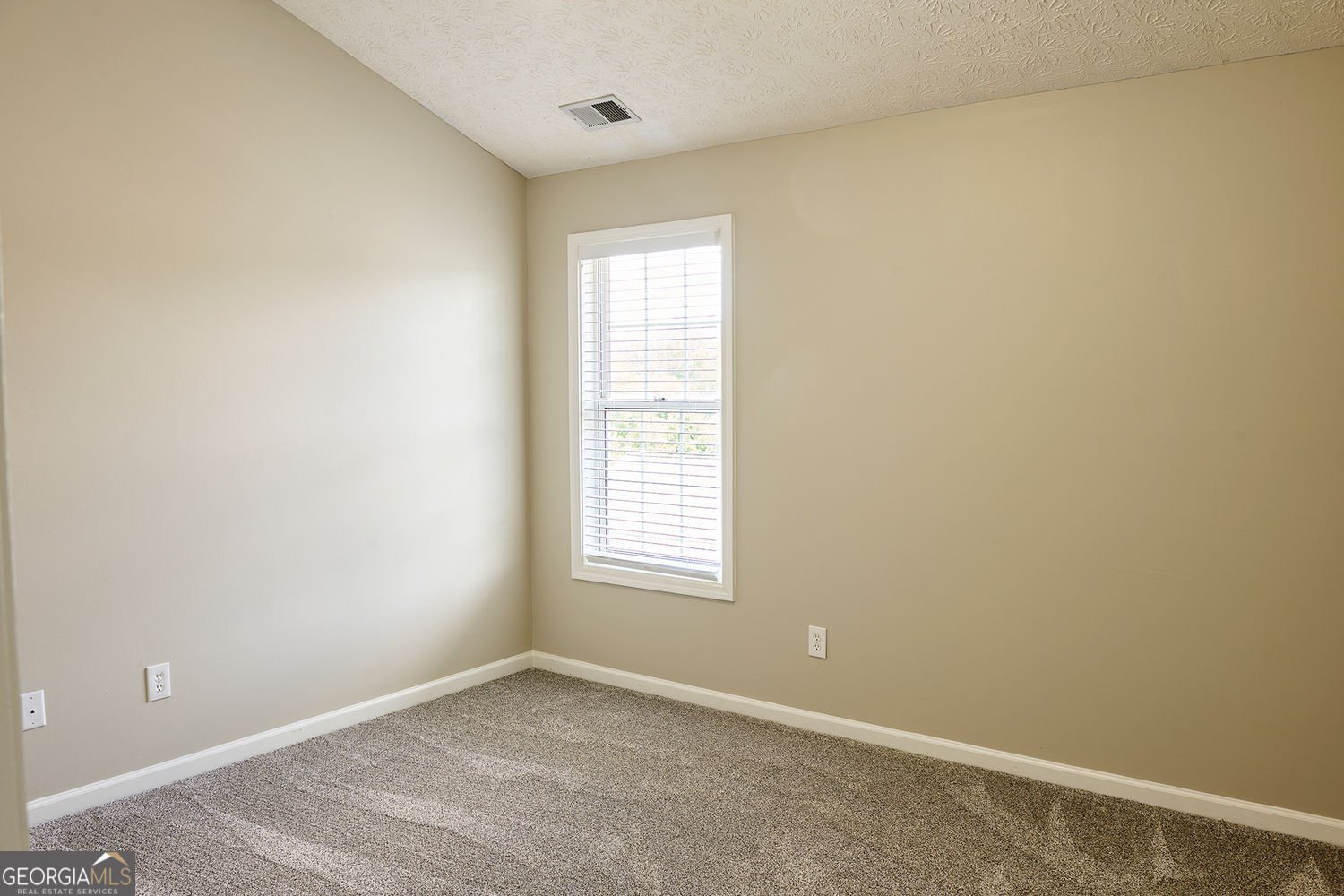311 Park Creek Ridge Woodstock - Photo 33