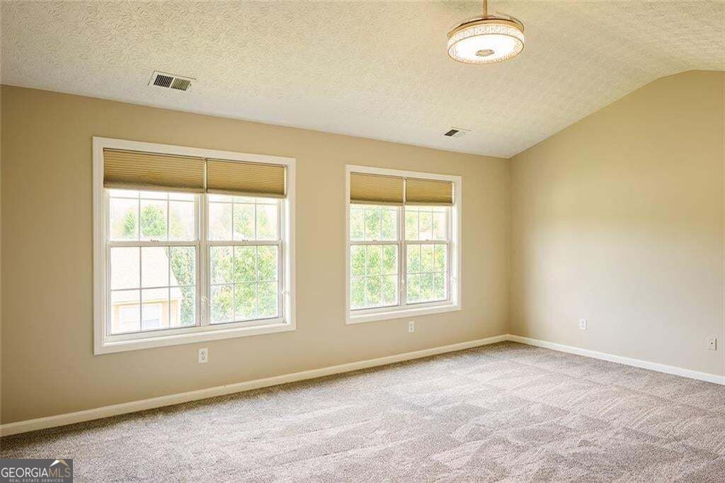 311 Park Creek Ridge Woodstock - Photo 58
