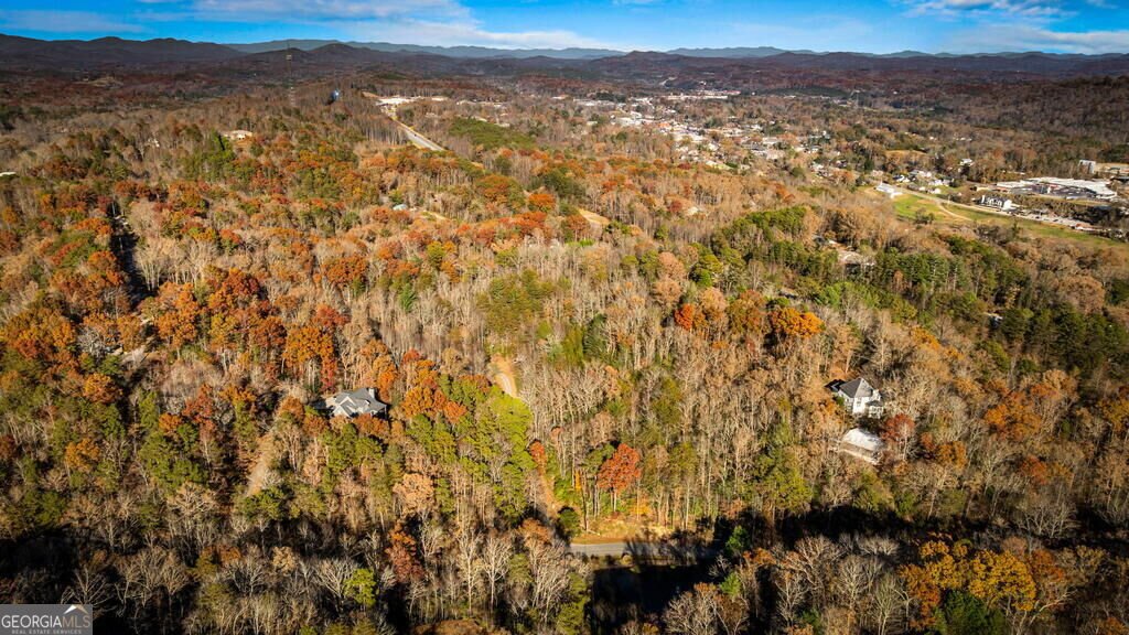 1.5 ACRE Bullen Gap Road Blue Ridge - Photo 46