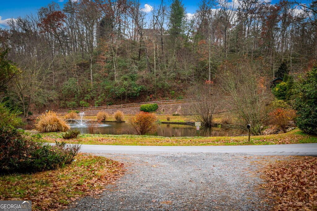 1.5 ACRE Bullen Gap Road Blue Ridge - Photo 49