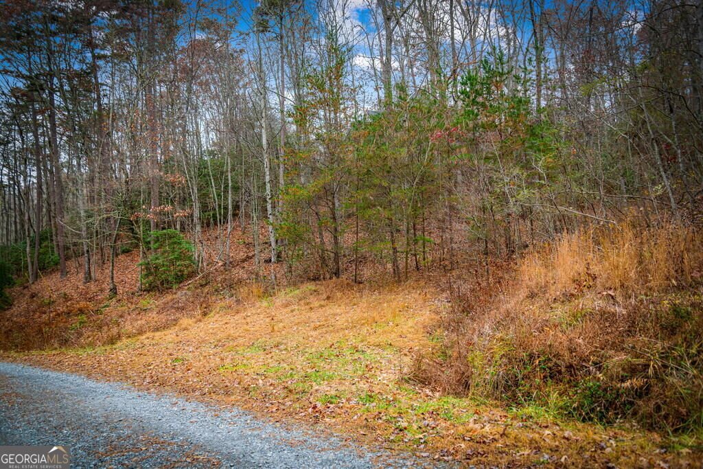1.5 ACRE Bullen Gap Road Blue Ridge - Photo 51