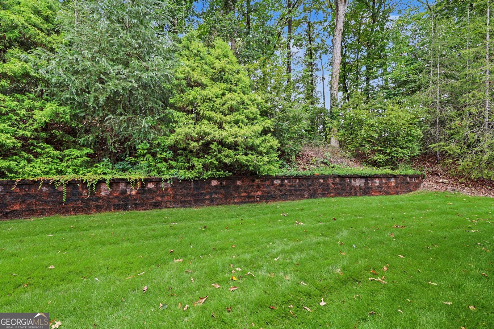 272 Glen Lake Drive Hoschton - Photo 35