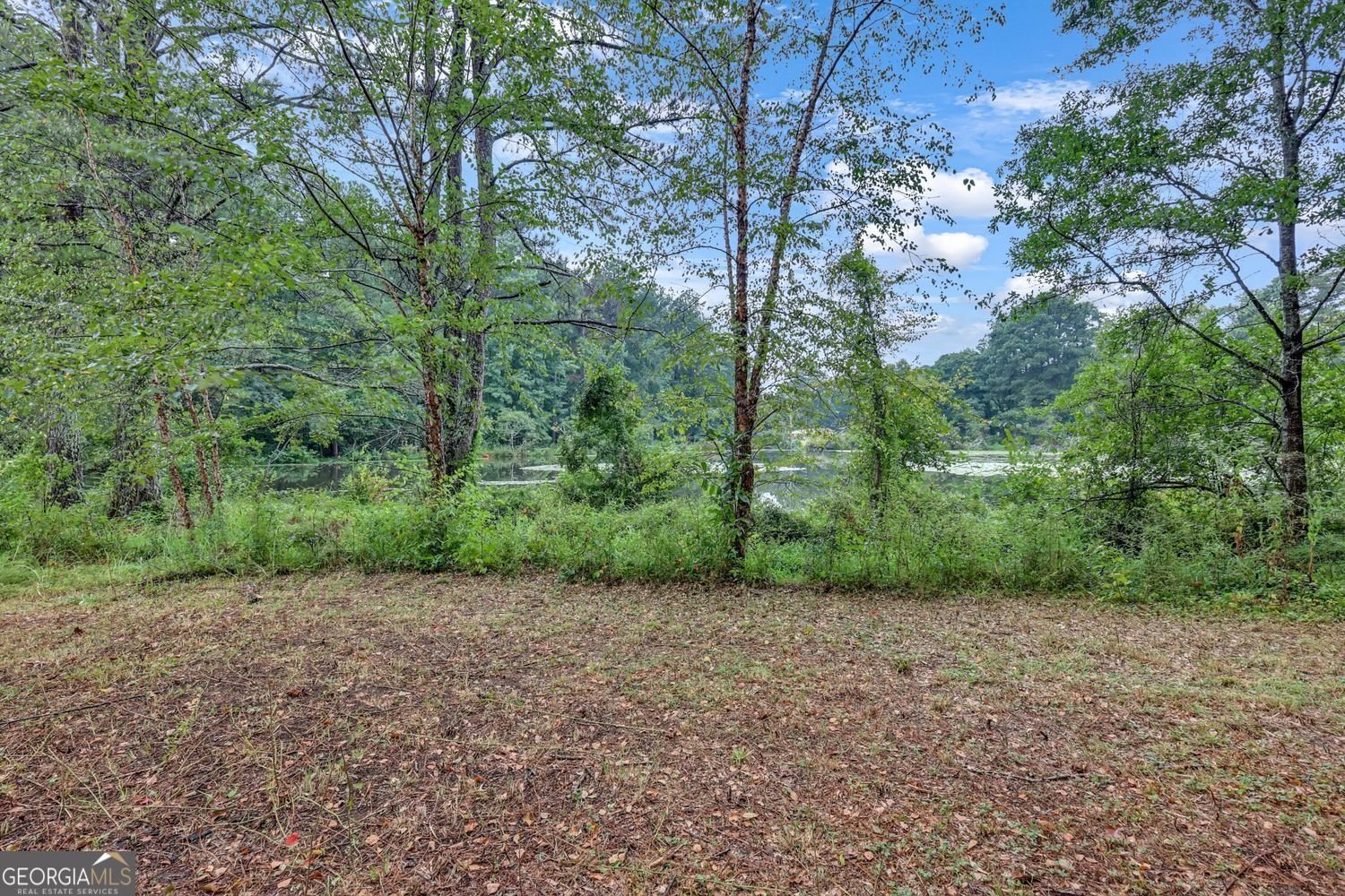 2541 Poplar Street Snellville - Photo 39