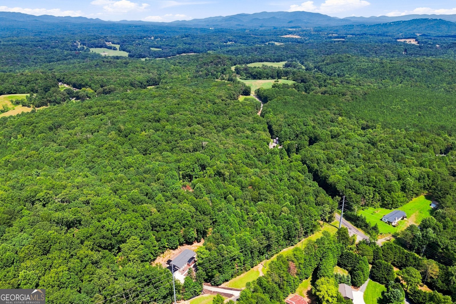 657 Barnes Mountain Road Ellijay - Photo 40