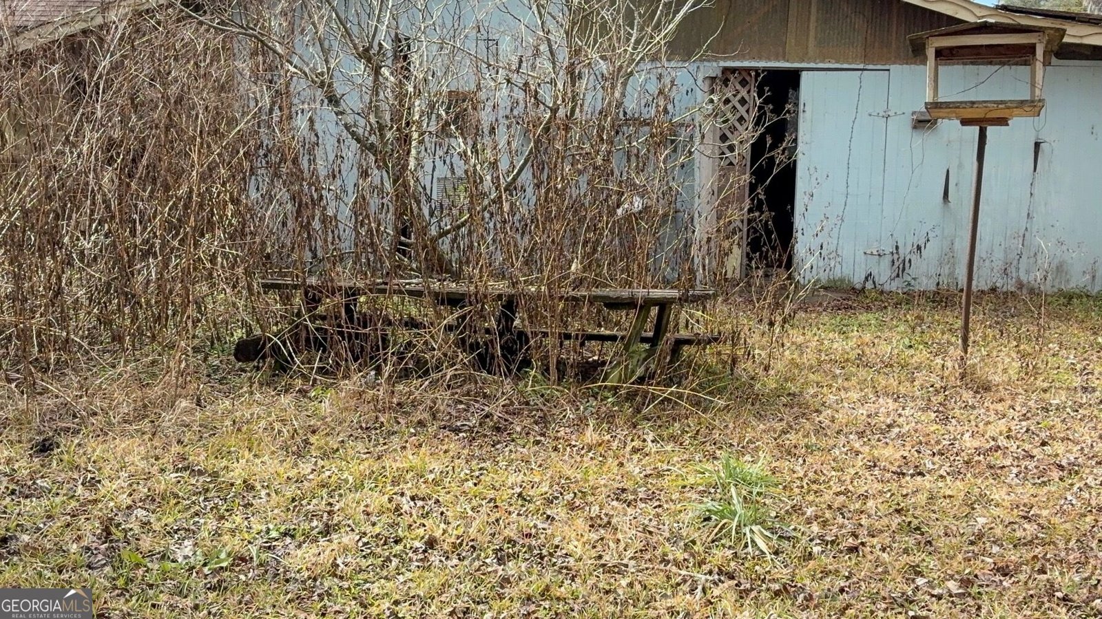 Photo 4