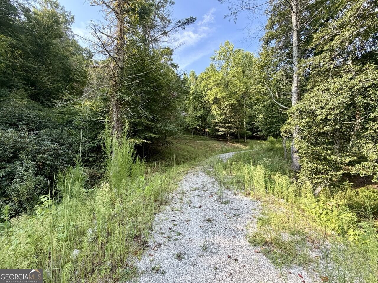 1657 Nimblewill Gap Road Dahlonega - Photo 25