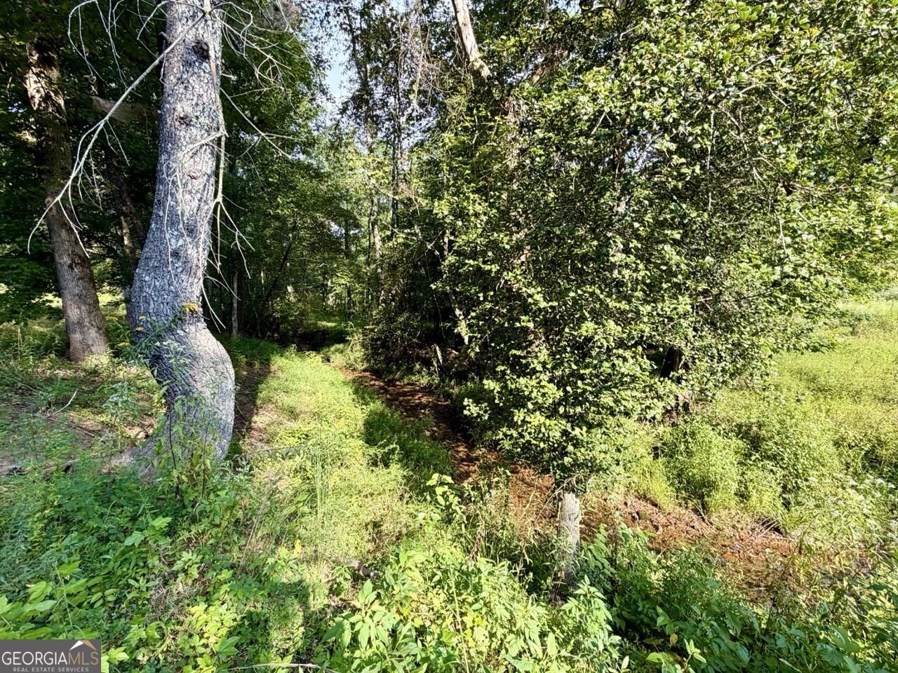 1657 Nimblewill Gap Road Dahlonega - Photo 28