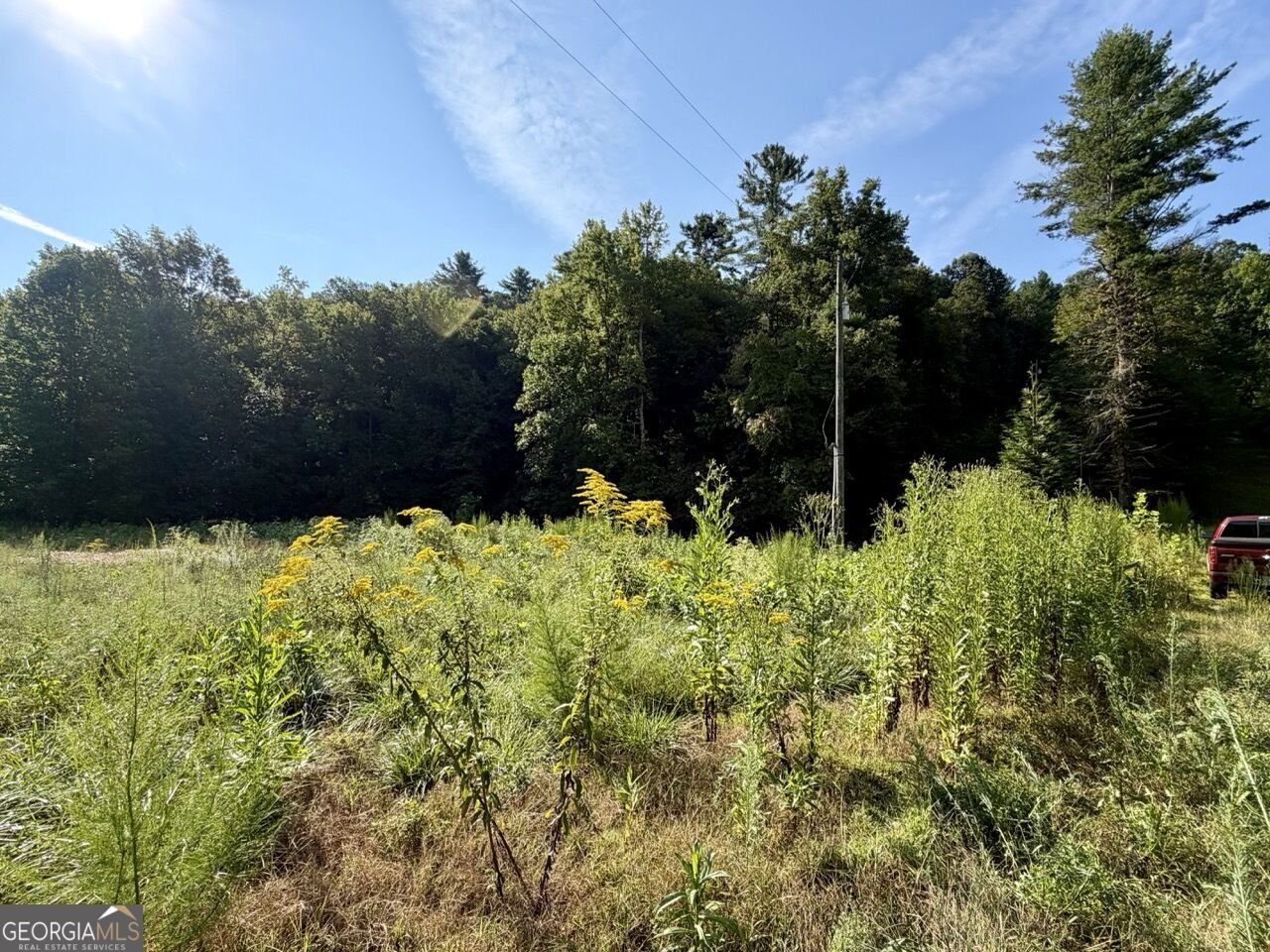 1657 Nimblewill Gap Road Dahlonega - Photo 29