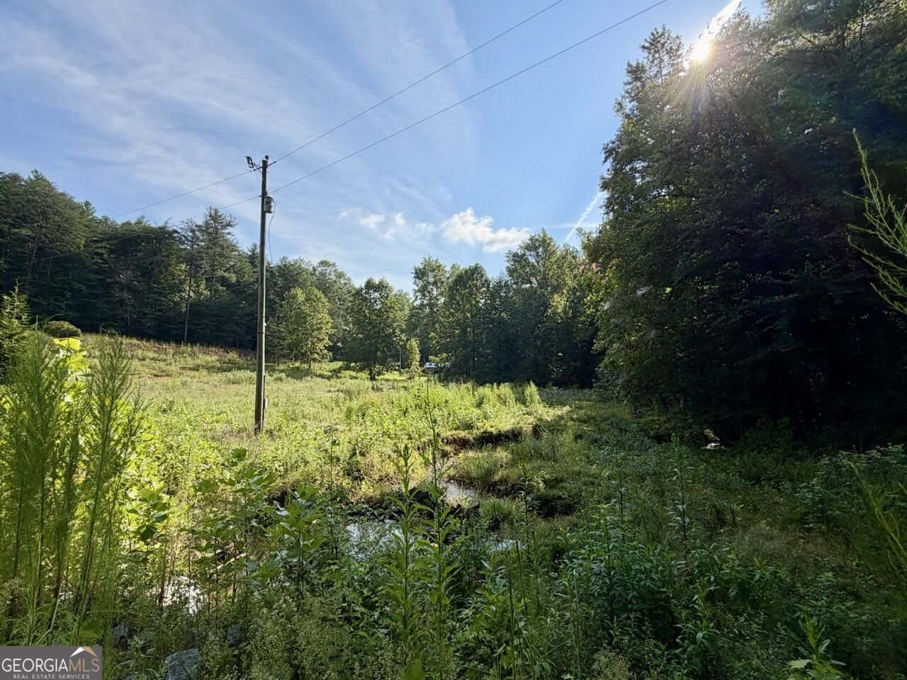 1657 Nimblewill Gap Road Dahlonega - Photo 30