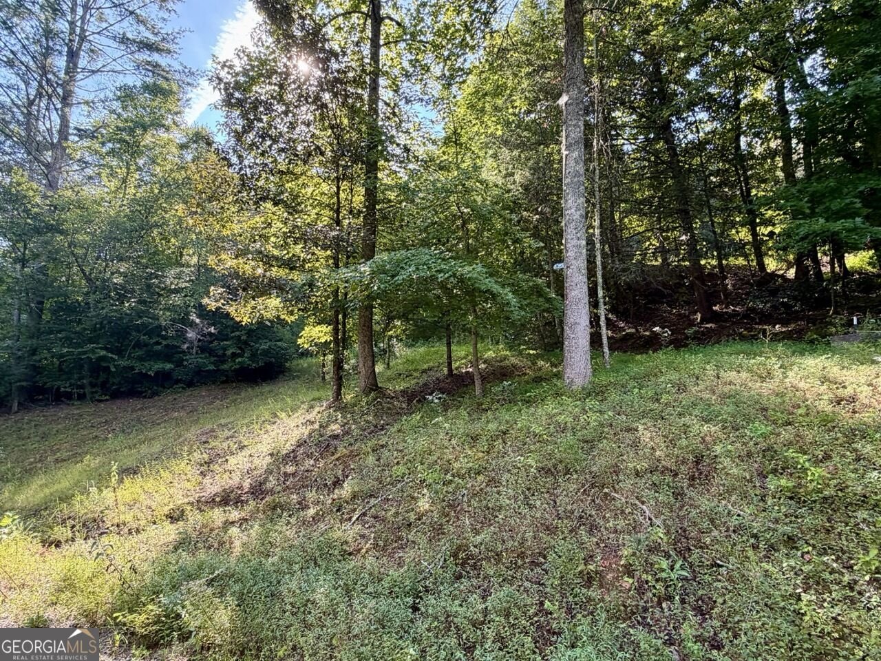 1657 Nimblewill Gap Road Dahlonega - Photo 31
