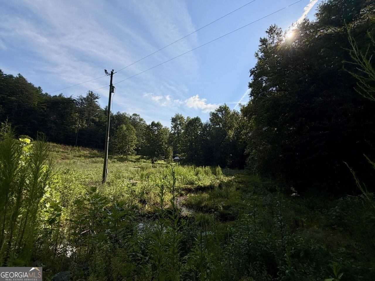 1657 Nimblewill Gap Road Dahlonega - Photo 32