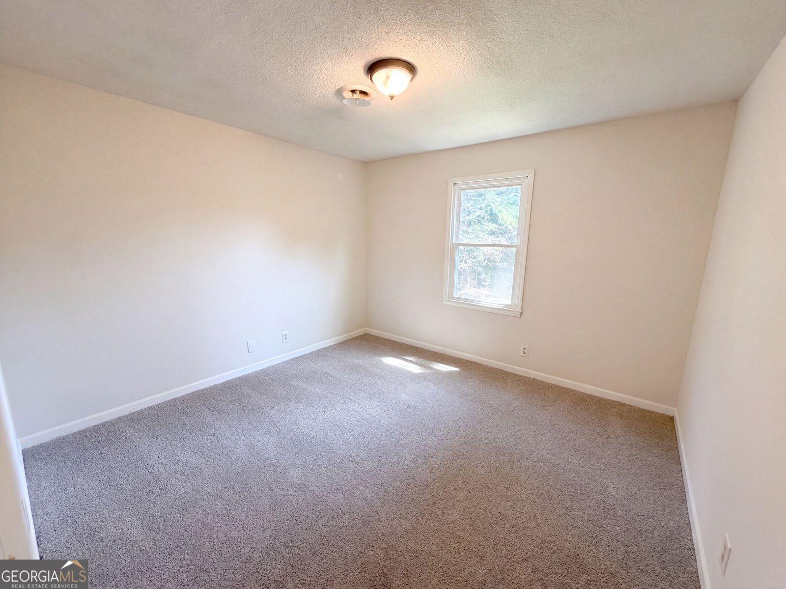 962 Doeskin Drive Conyers - Photo 14