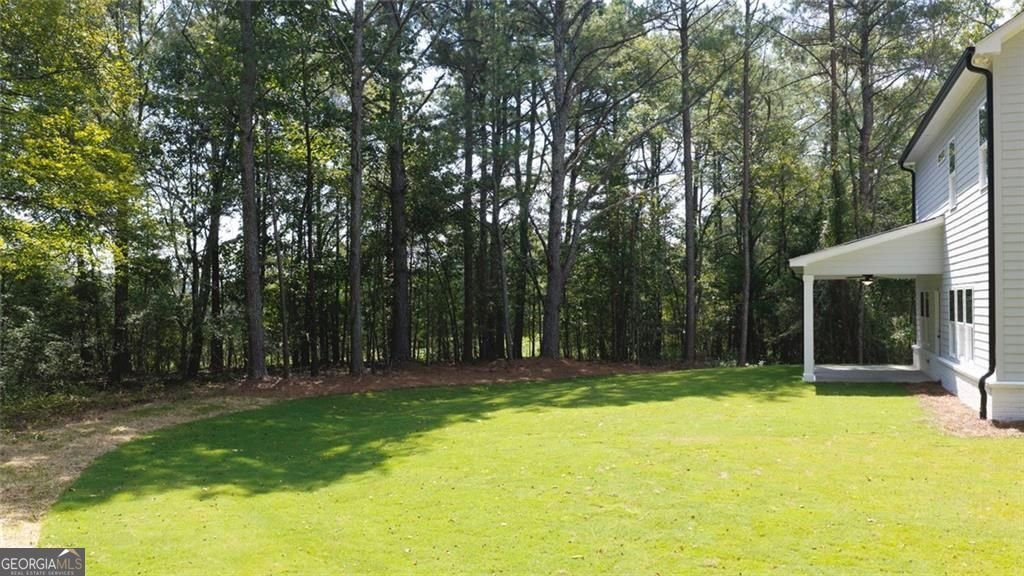 8110 Lennox Lane Cumming - Photo 61