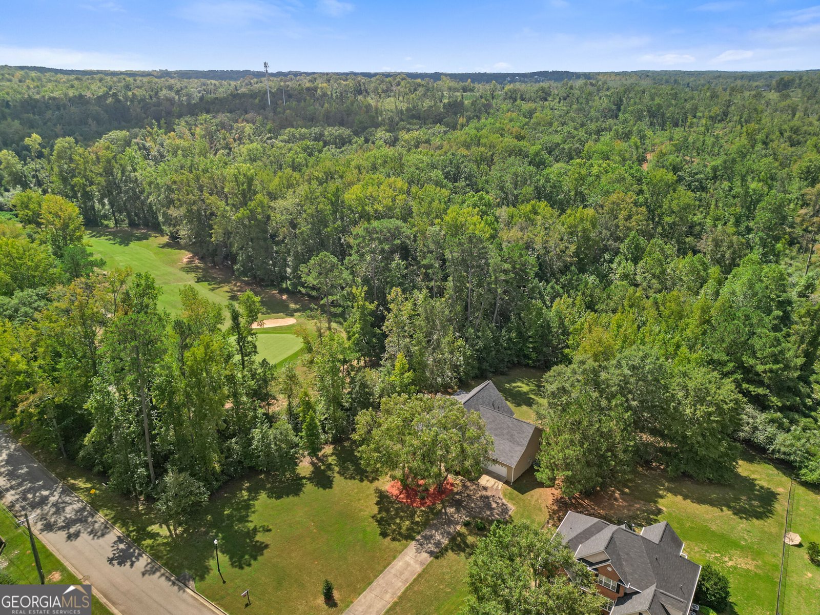 1725 Wesminster Drive Griffin - Photo 61