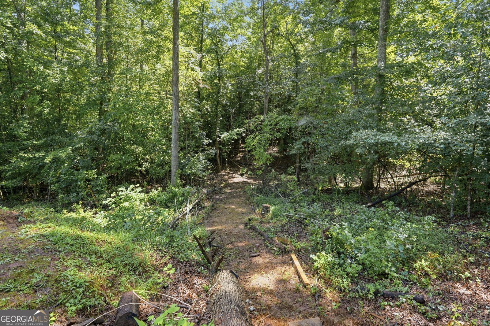 5387 Auraria Road Dawsonville - Photo 25