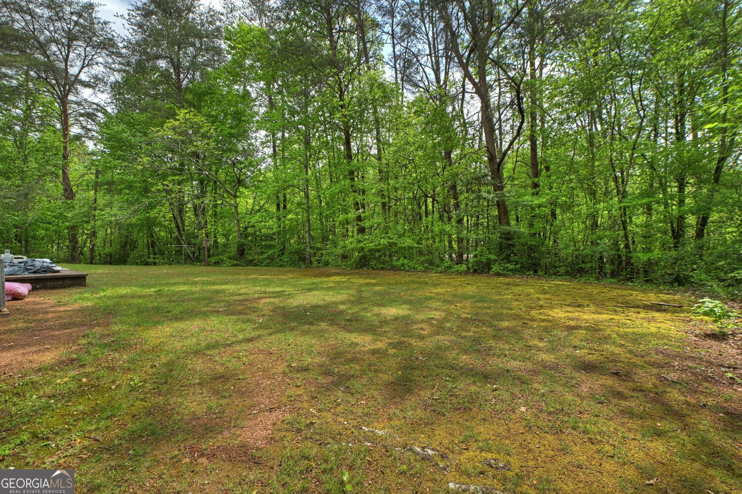 388 Jones Street Blue Ridge - Photo 11