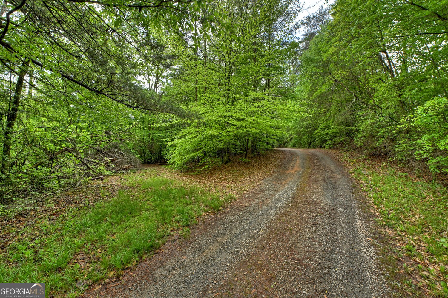 388 Jones Street Blue Ridge - Photo 15