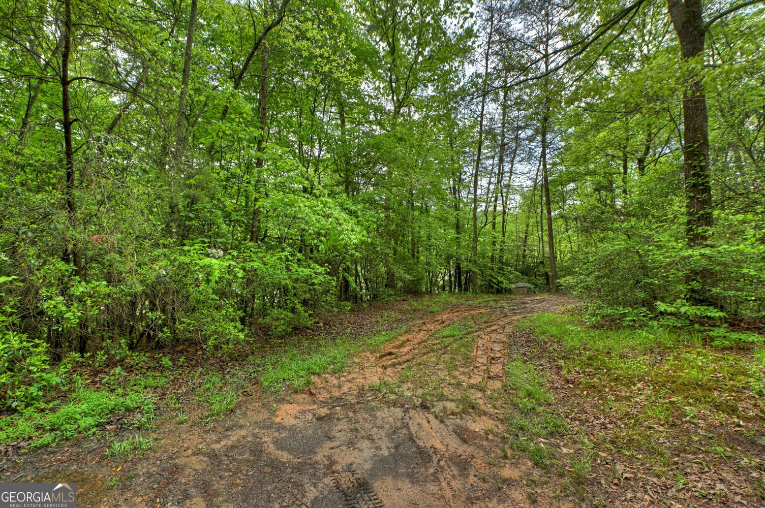 388 Jones Street Blue Ridge - Photo 36