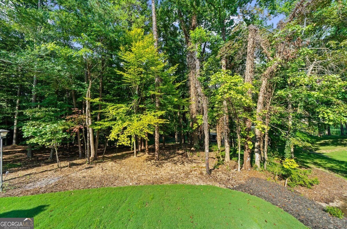 5839 Lakeshore Drive Buford - Photo 60