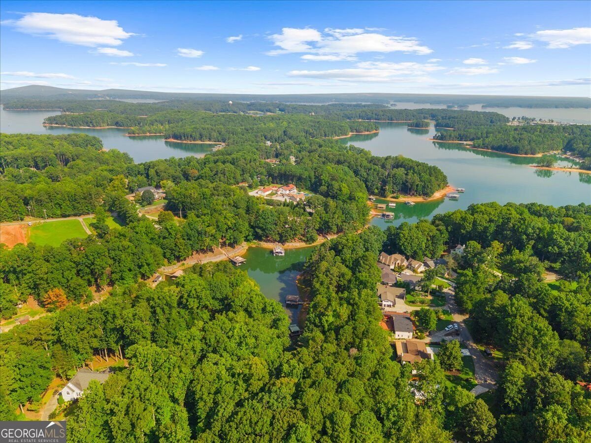 5839 Lakeshore Drive Buford - Photo 61