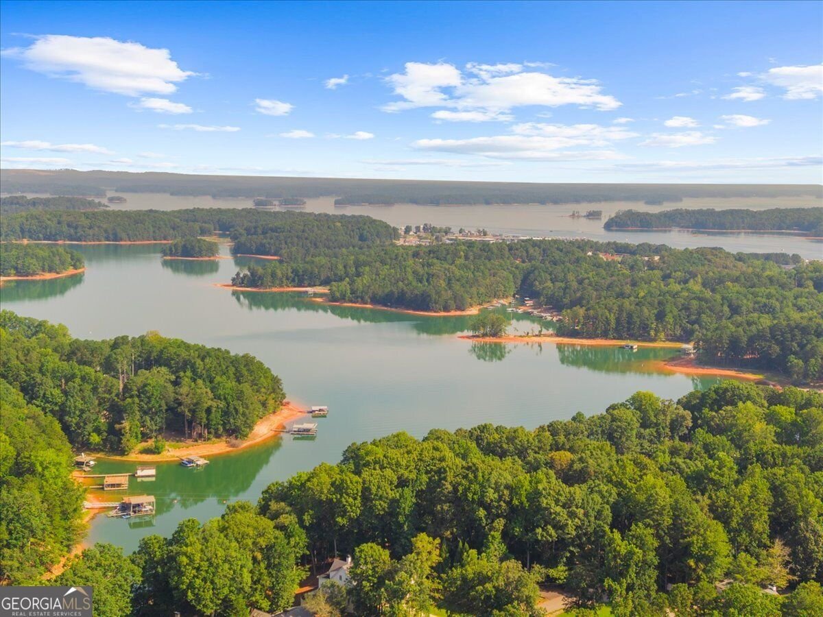 5839 Lakeshore Drive Buford - Photo 62