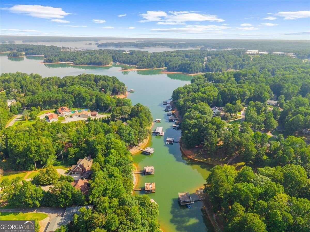 5839 Lakeshore Drive Buford - Photo 63