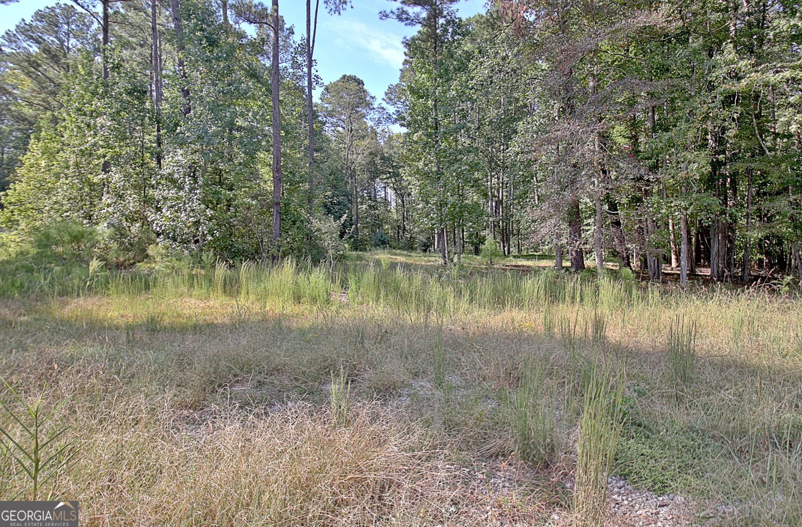 1206 Dead Oak Road Senoia - Photo 80