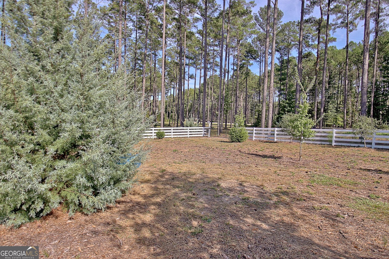1206 Dead Oak Road Senoia - Photo 86
