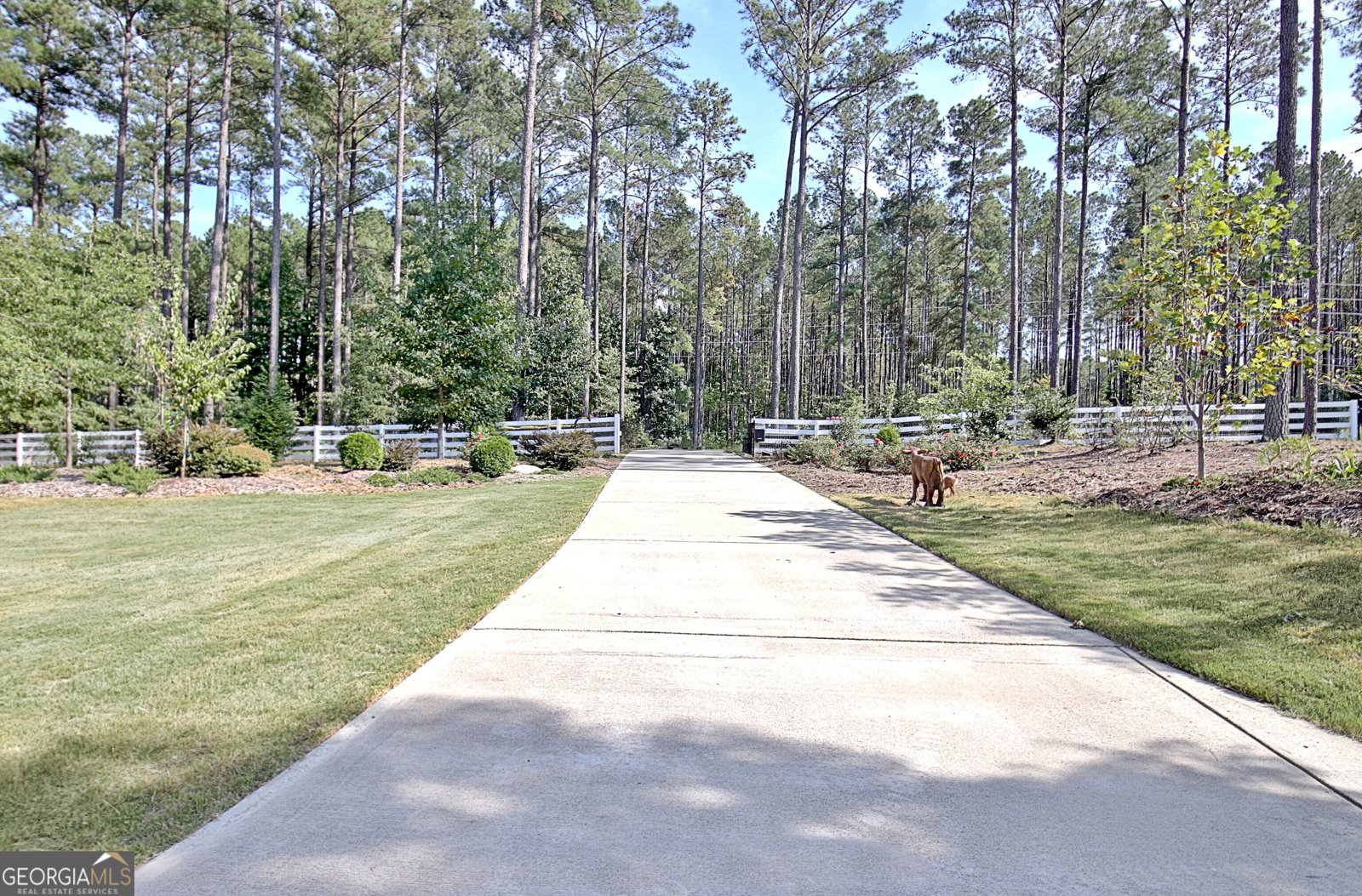 1206 Dead Oak Road Senoia - Photo 89