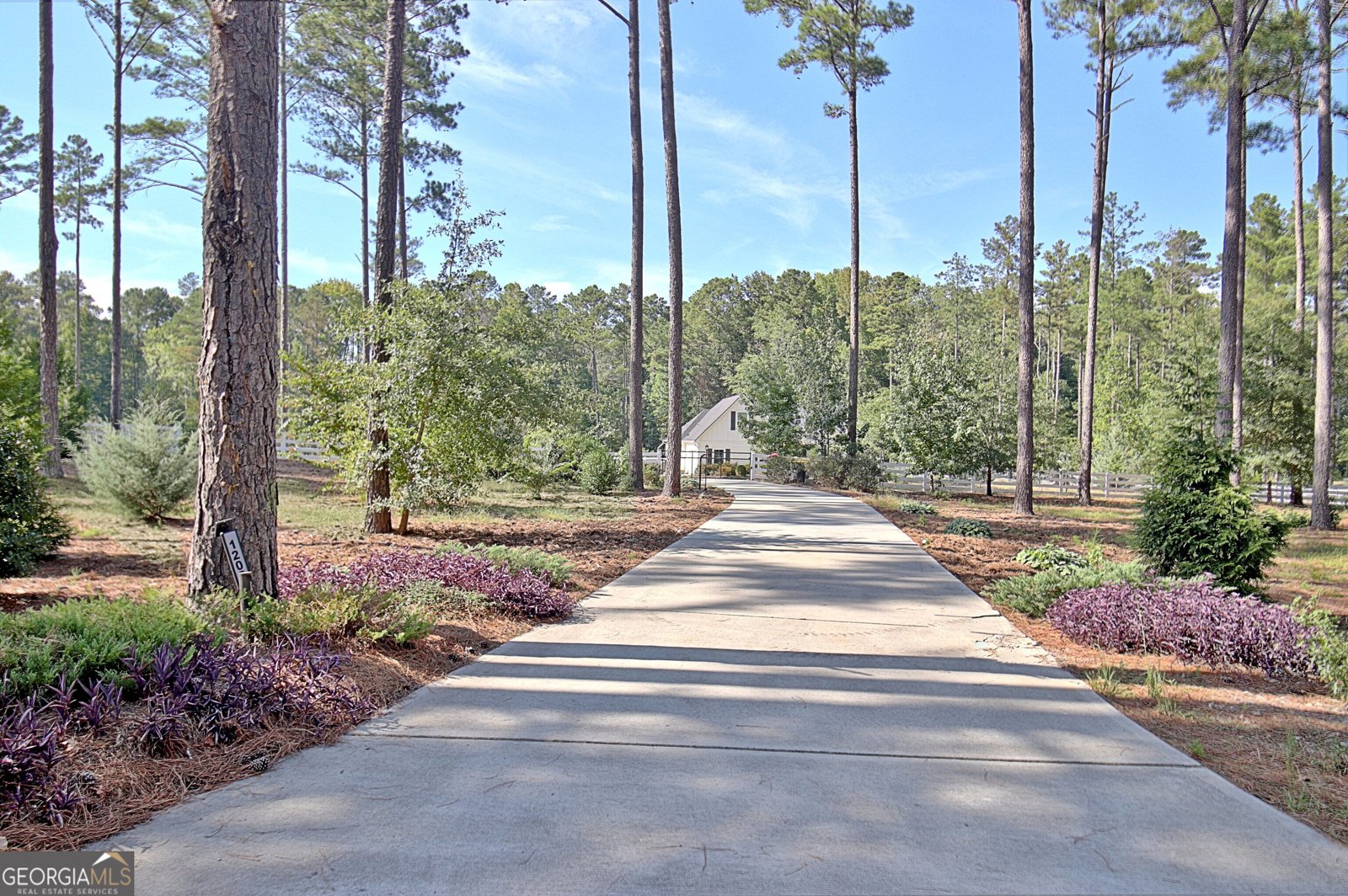 1206 Dead Oak Road Senoia - Photo 90