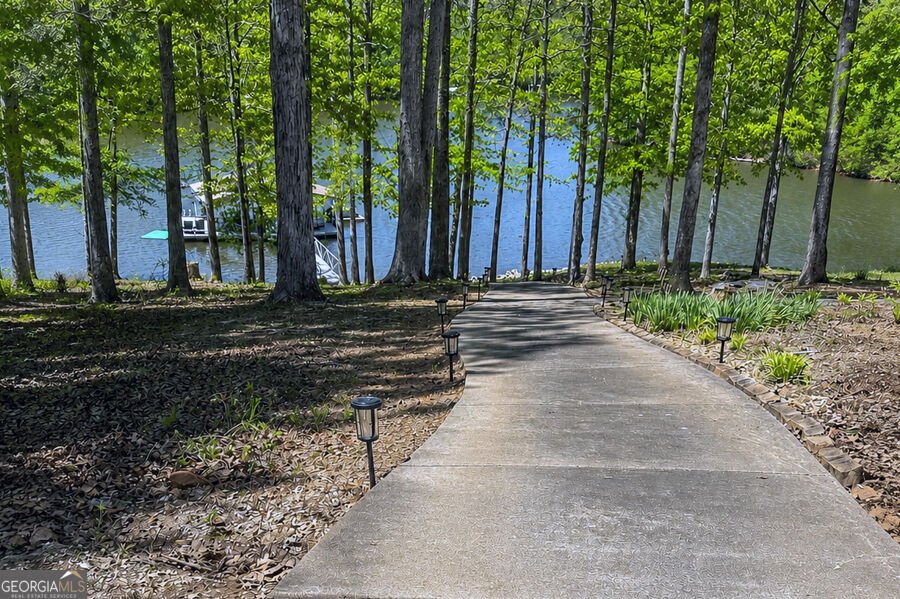 201 Hickory Hill Lane Martin - Photo 45