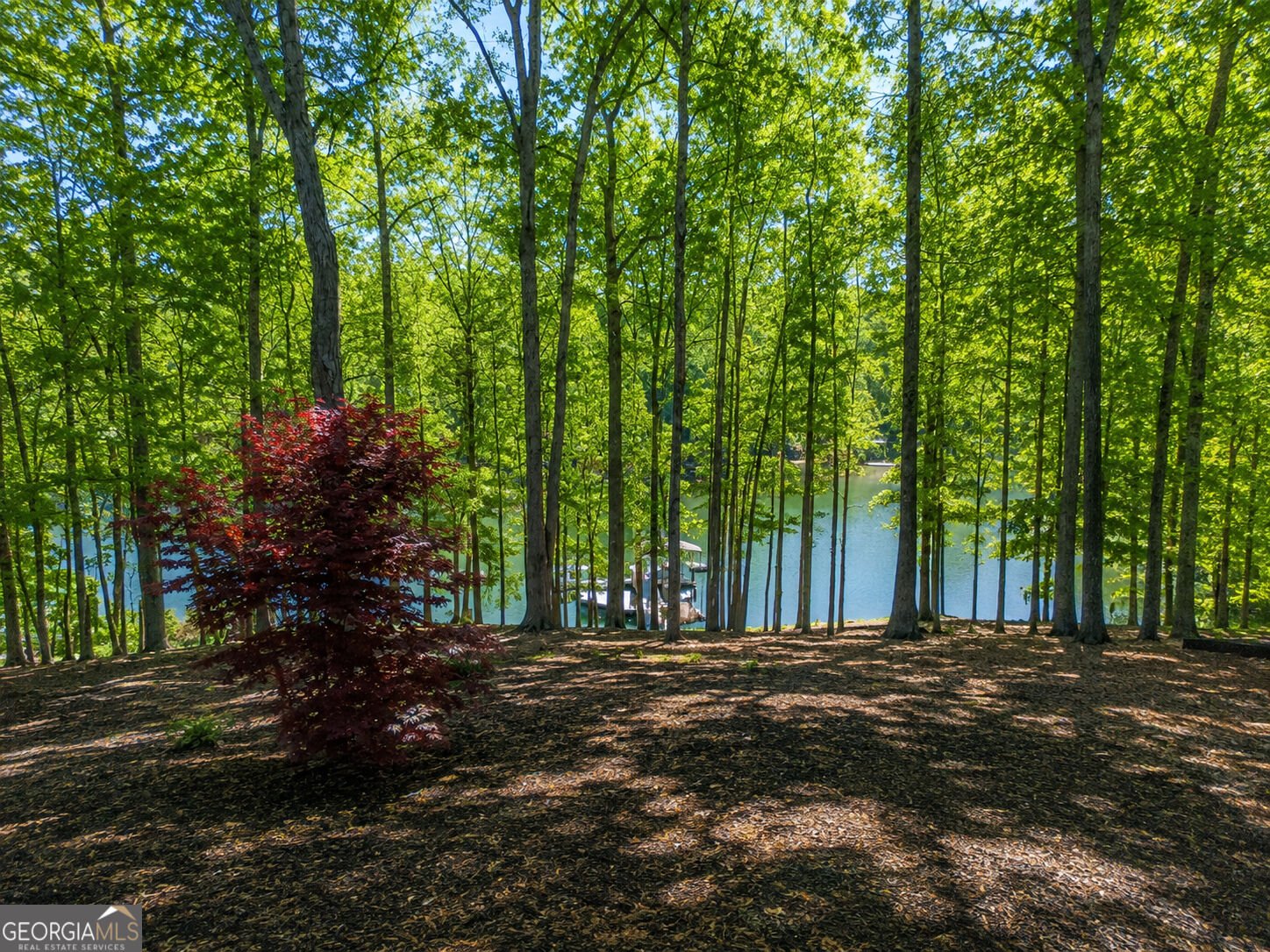 201 Hickory Hill Lane Martin - Photo 47