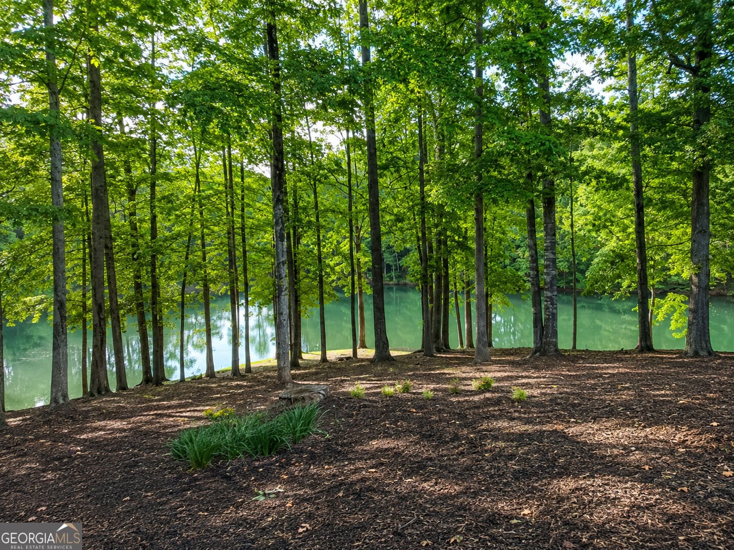 201 Hickory Hill Lane Martin - Photo 48
