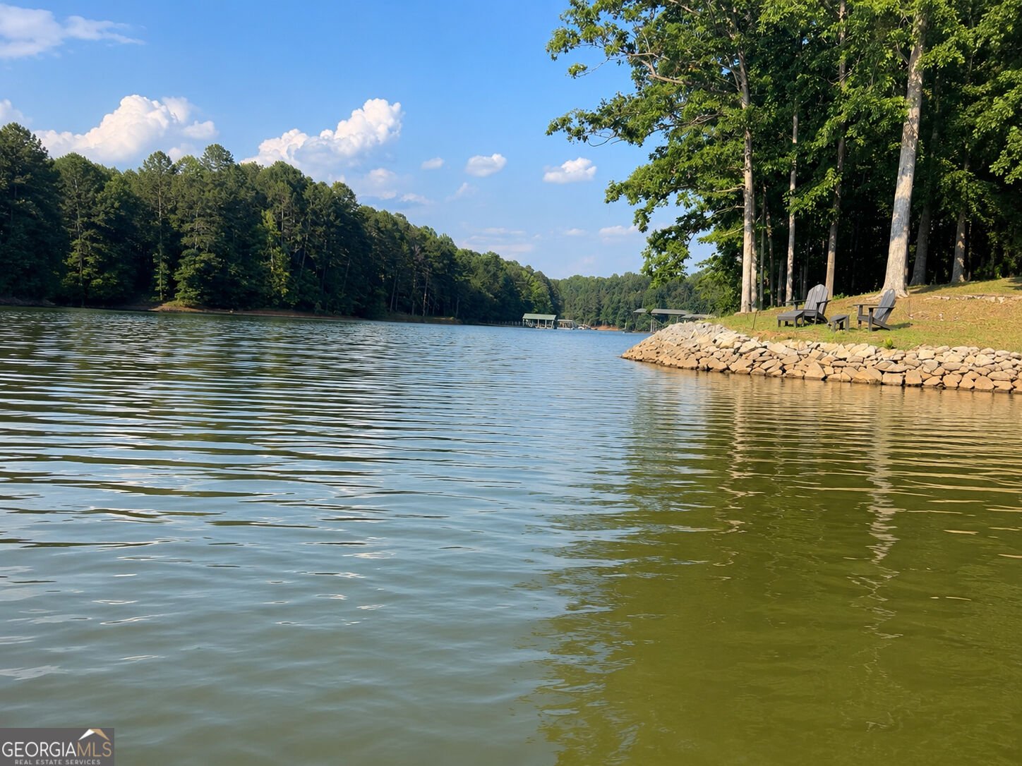201 Hickory Hill Lane Martin - Photo 49