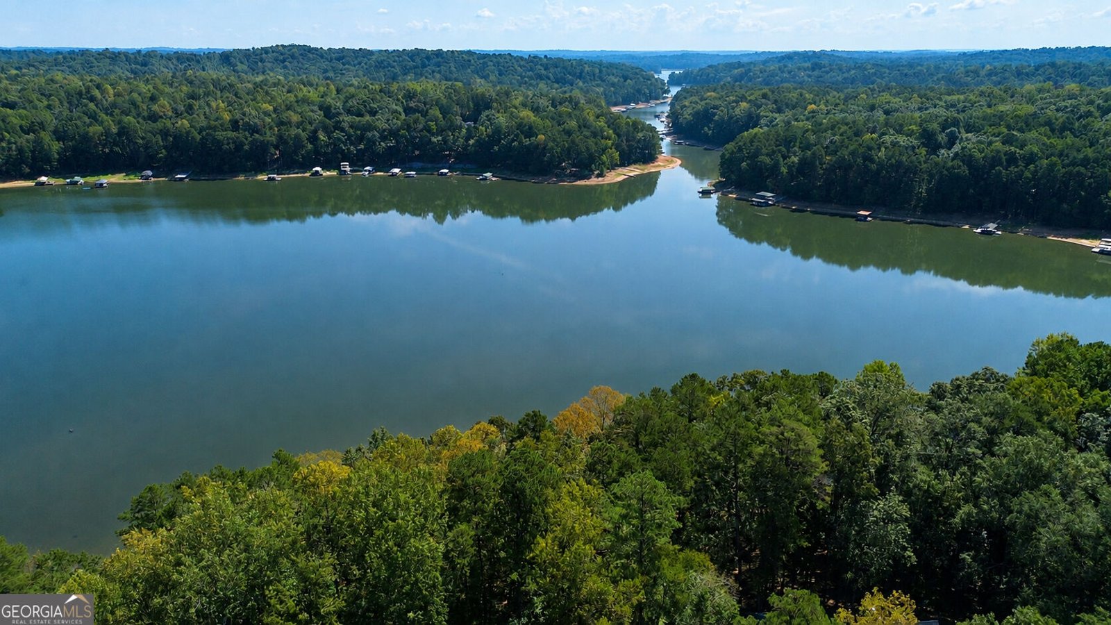 201 Hickory Hill Lane Martin - Photo 50
