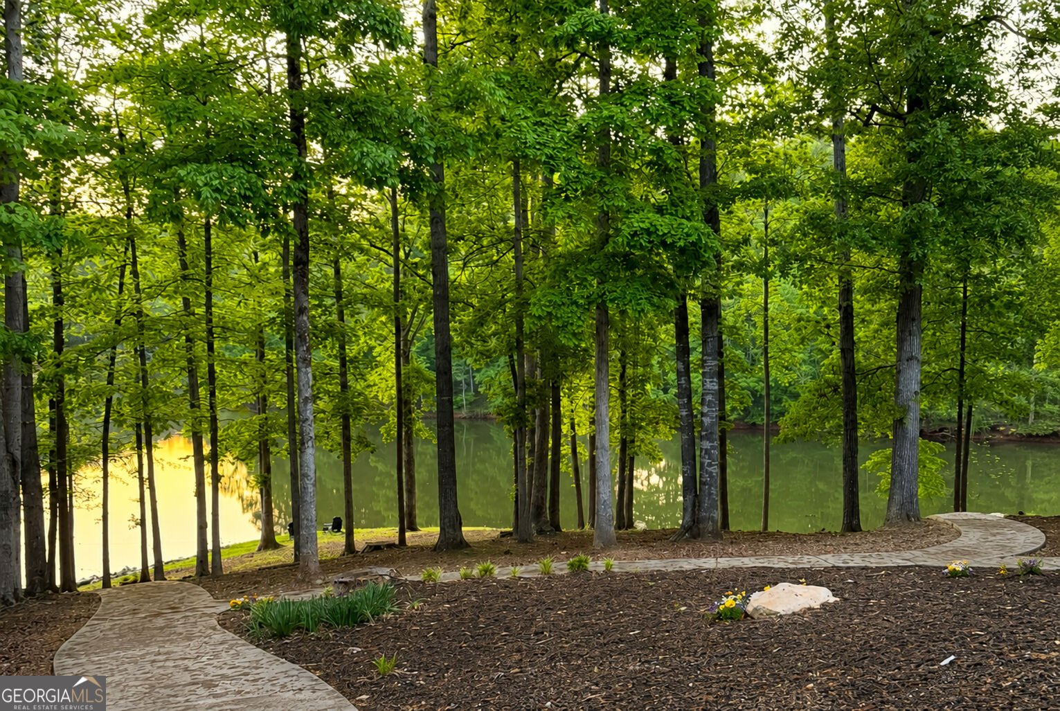 201 Hickory Hill Lane Martin - Photo 8