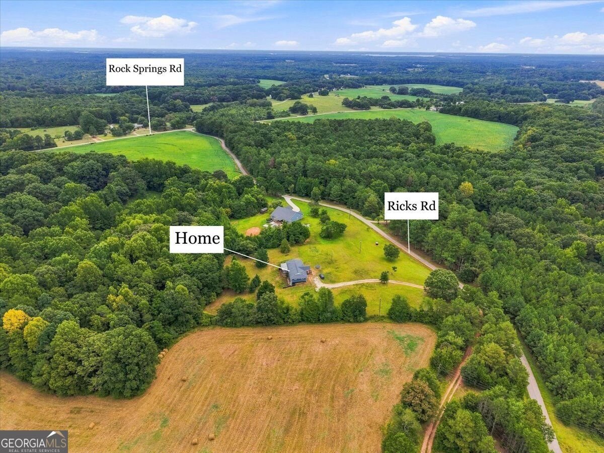 354 Ricks Road Lavonia - Photo 14