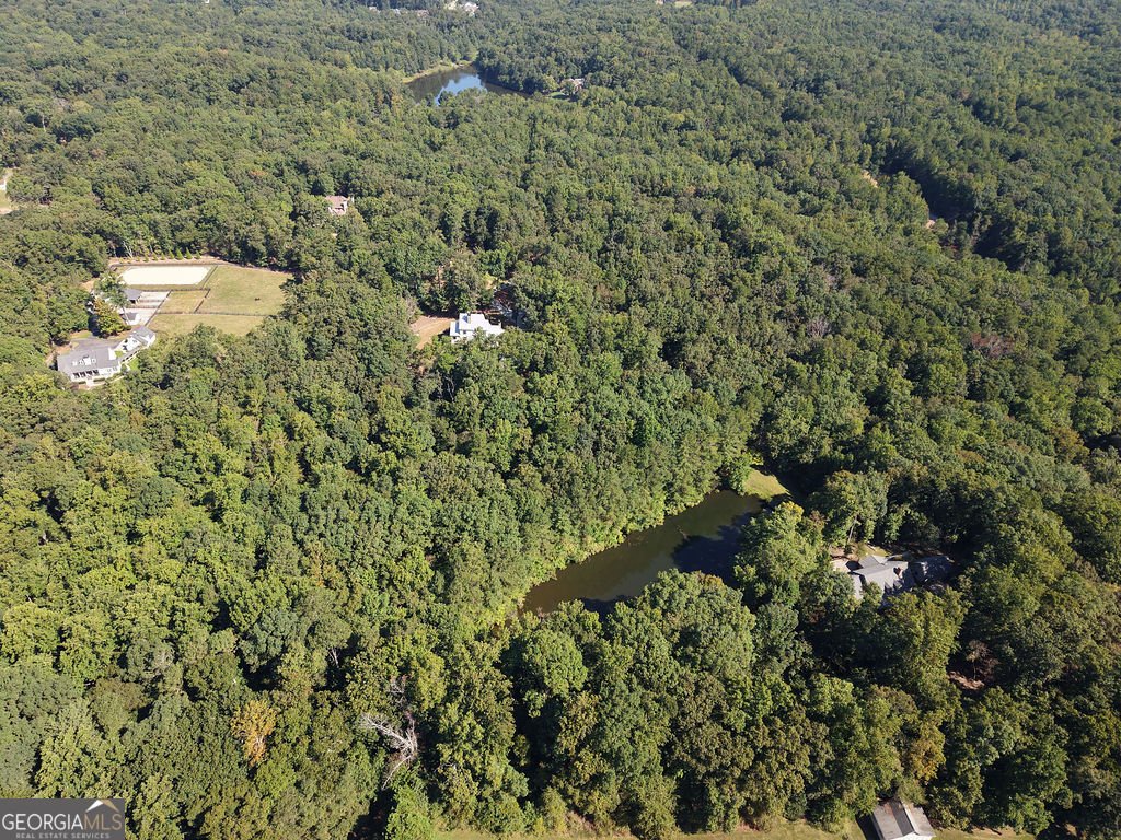 1010 Little River Way Alpharetta - Photo 67