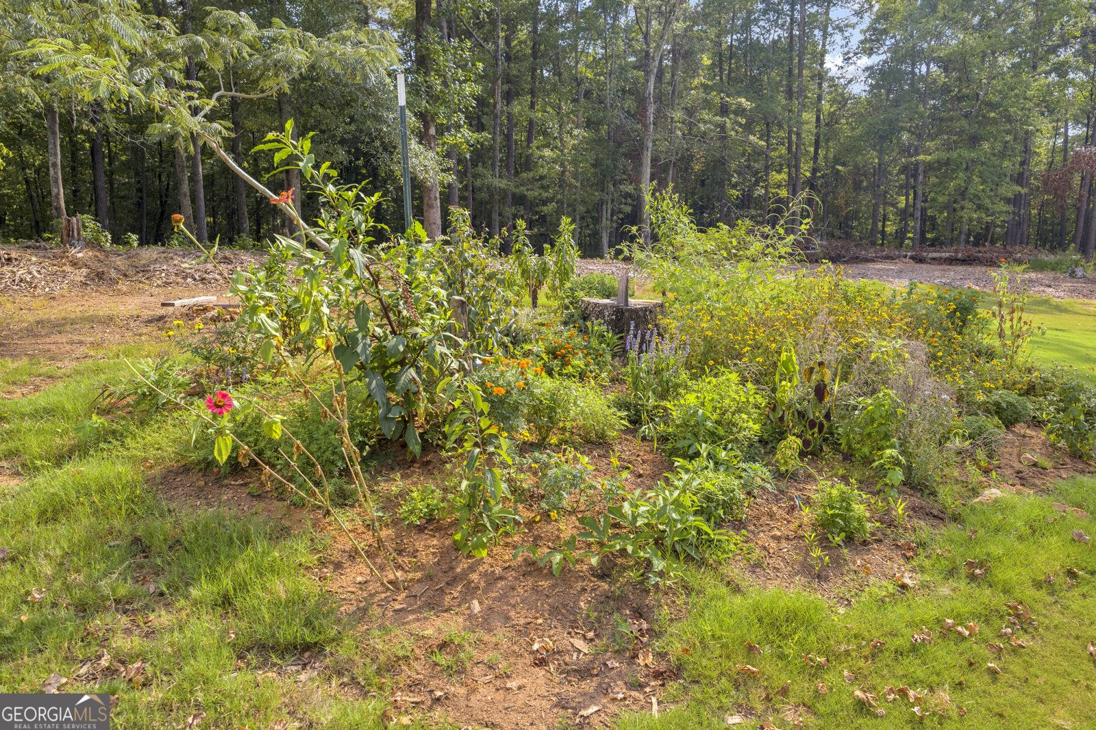 4499 Parkwood Road Social Circle - Photo 56
