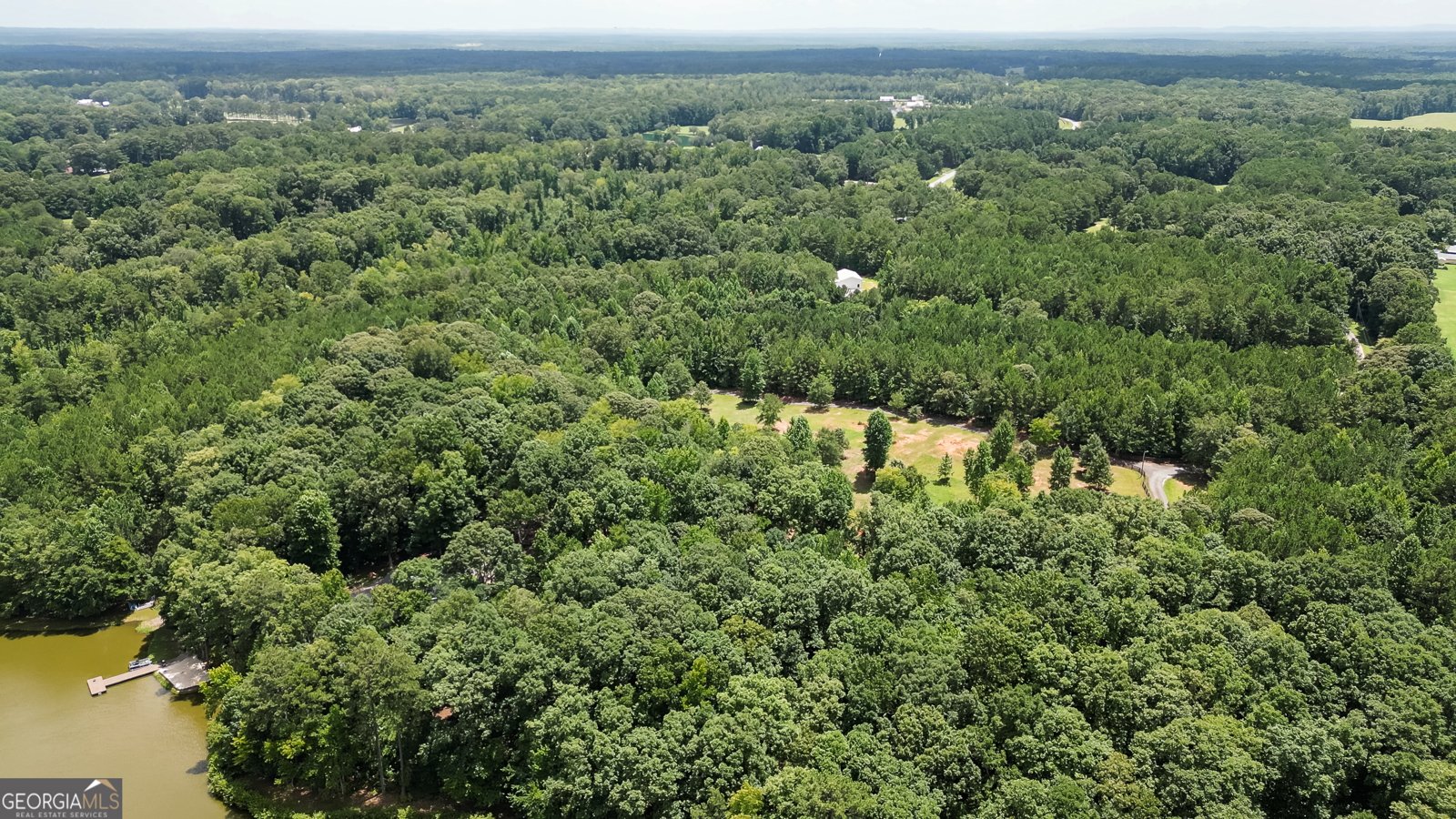 710 Line Creek Road Senoia - Photo 100
