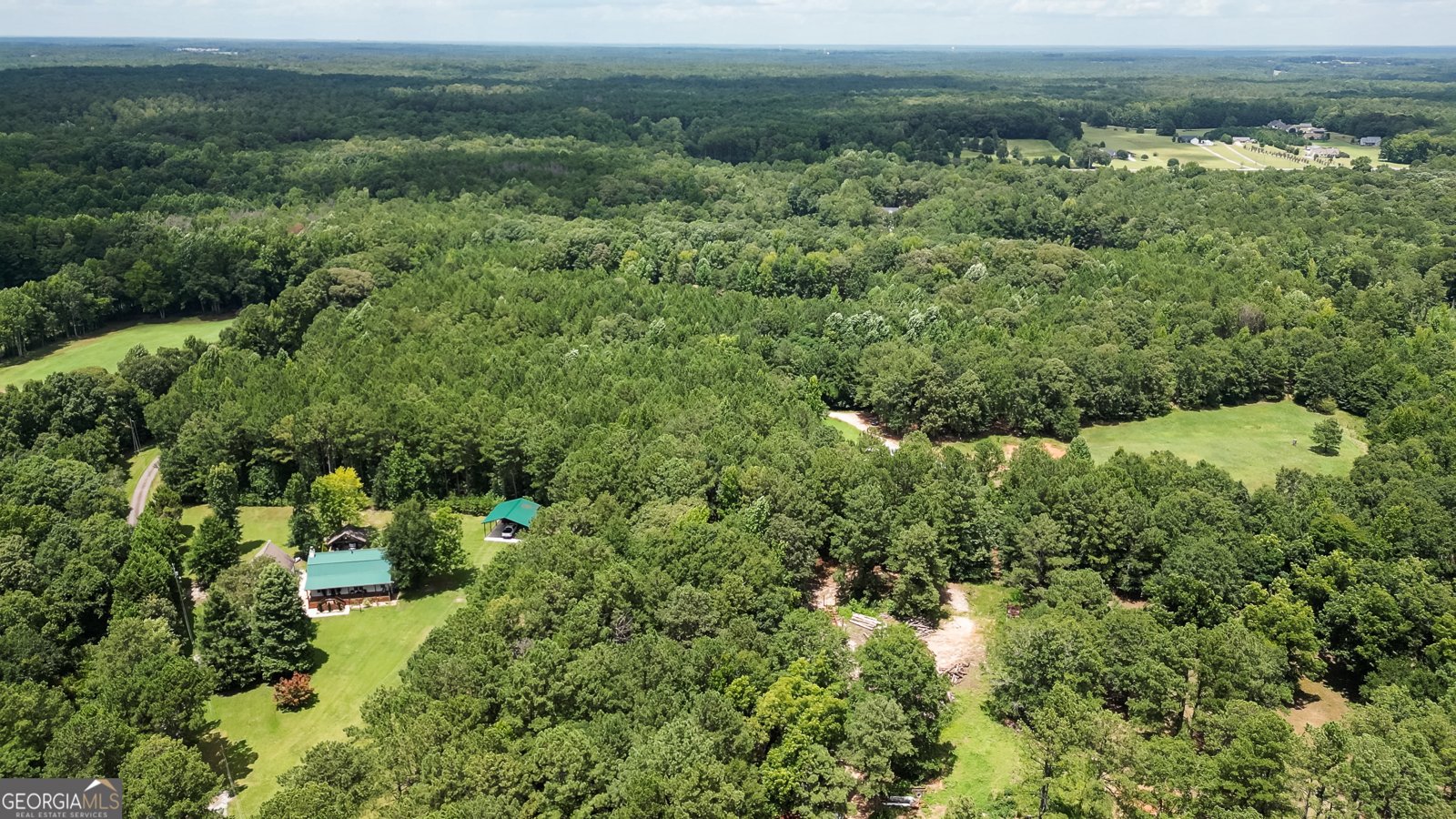 710 Line Creek Road Senoia - Photo 103