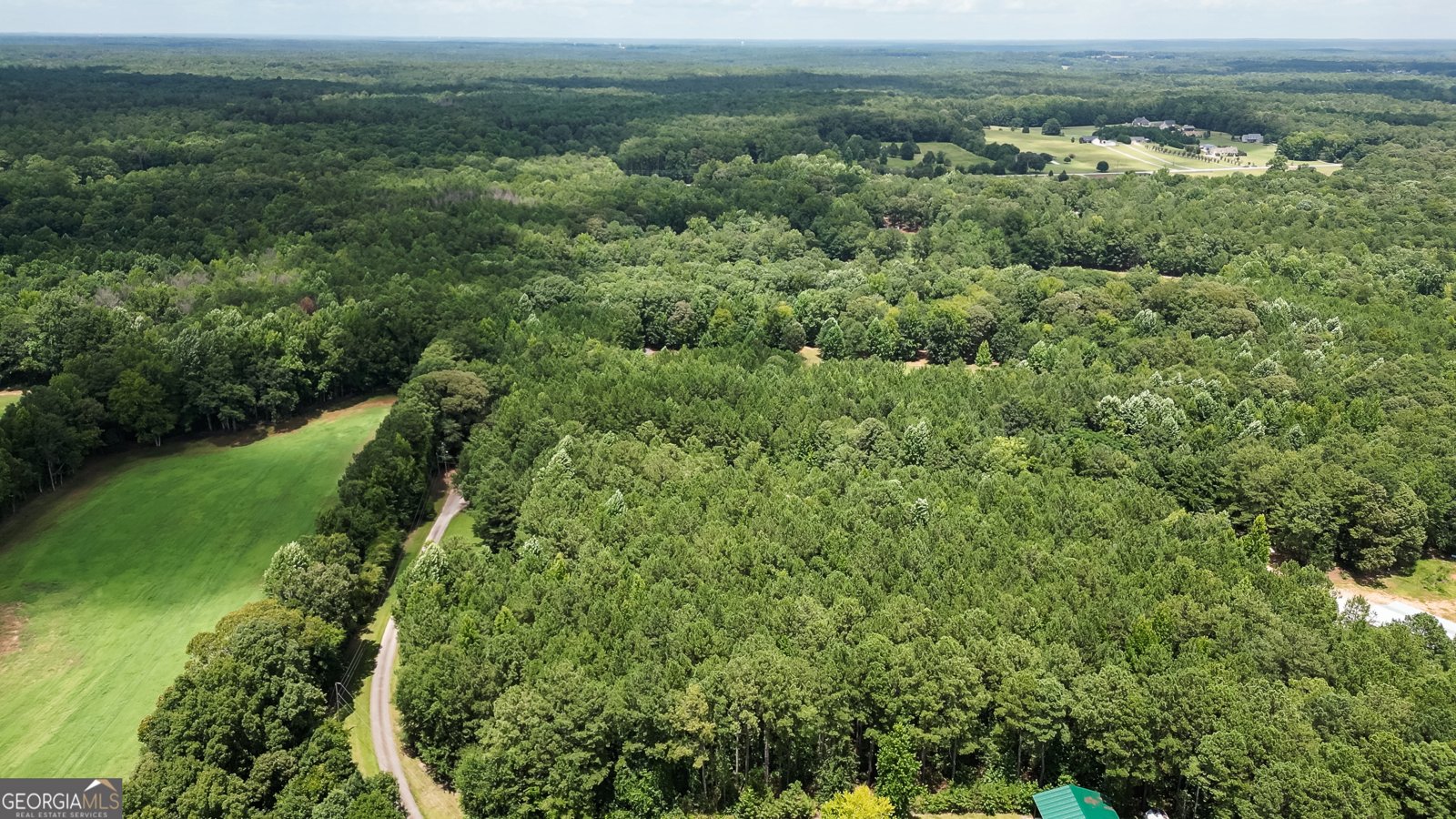 710 Line Creek Road Senoia - Photo 104
