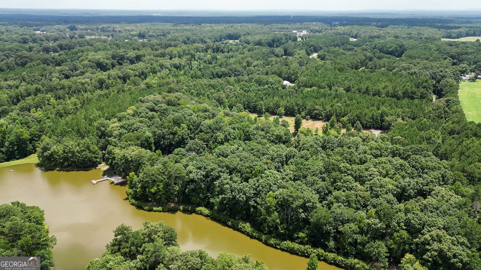 710 Line Creek Road Senoia - Photo 106