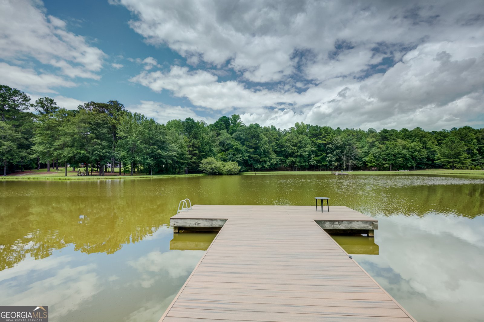 710 Line Creek Road Senoia - Photo 20