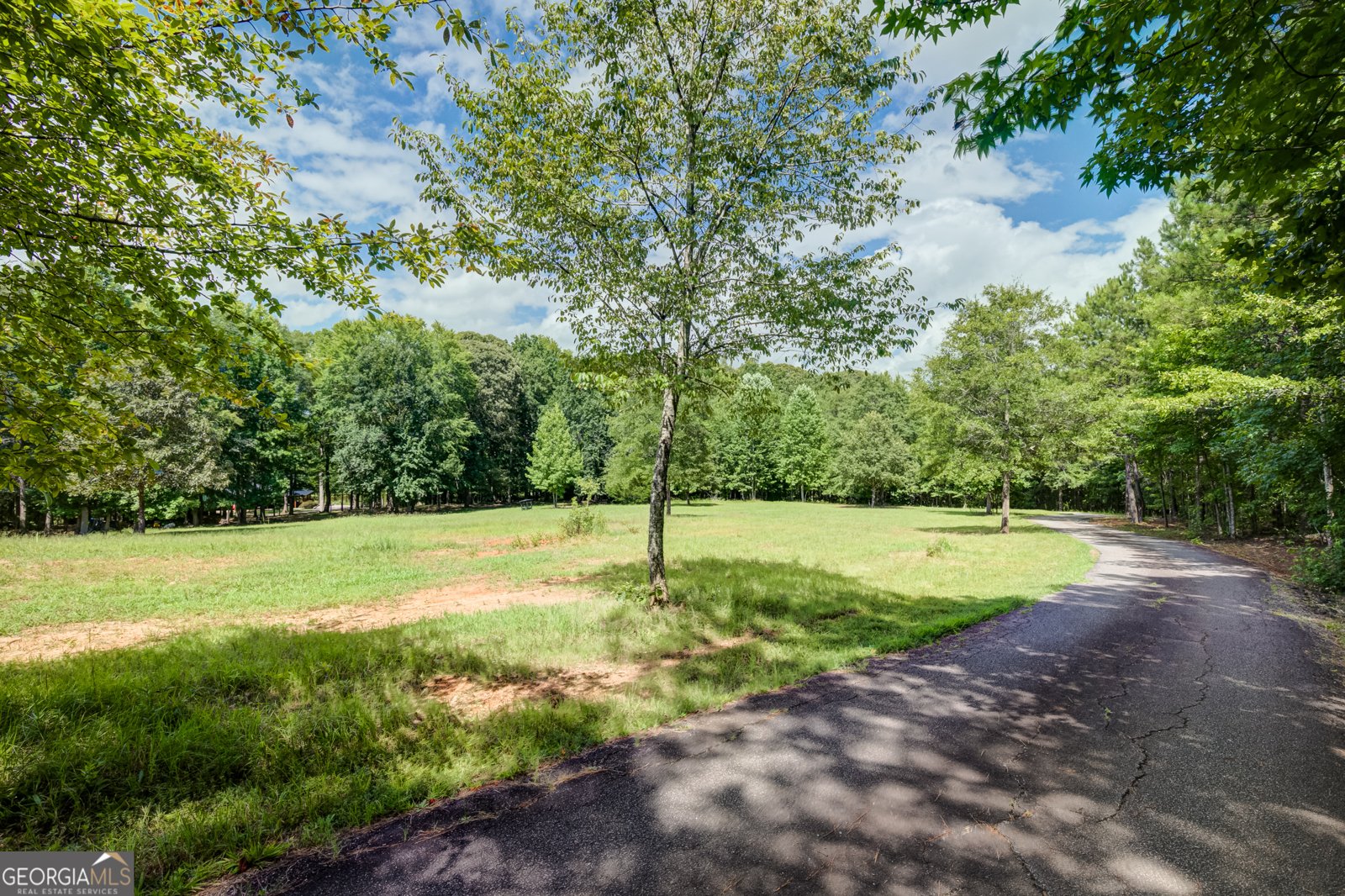 710 Line Creek Road Senoia - Photo 82