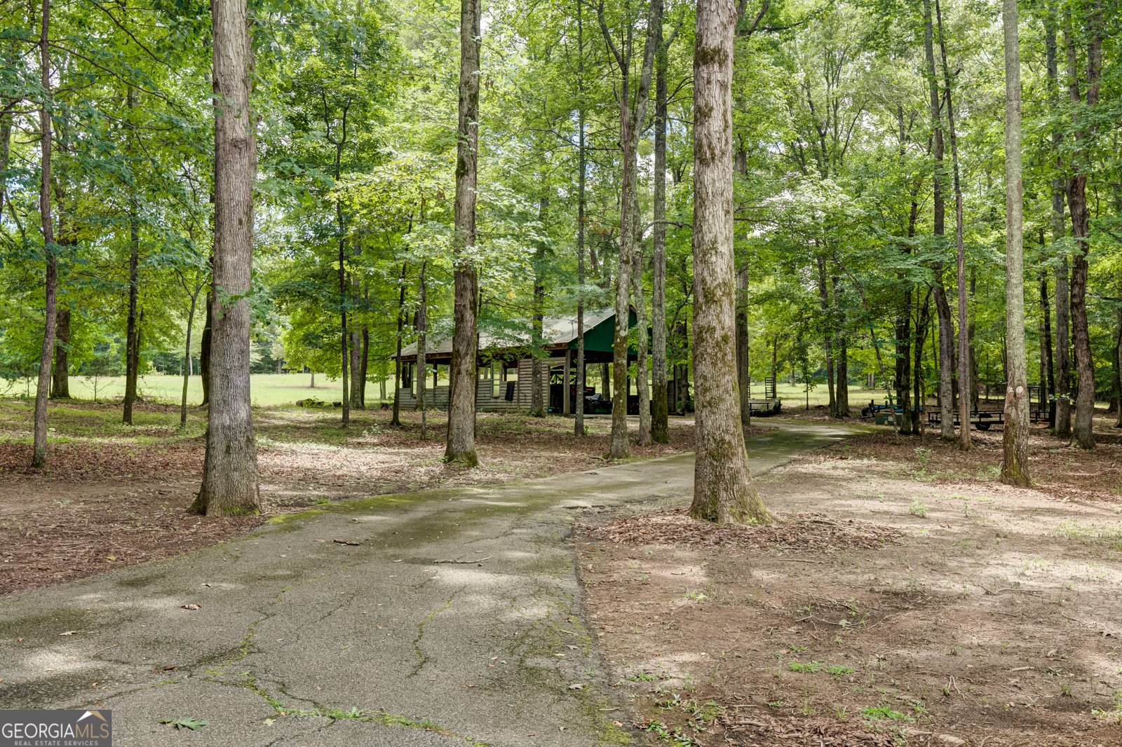 710 Line Creek Road Senoia - Photo 84